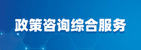 政策咨询综合服务