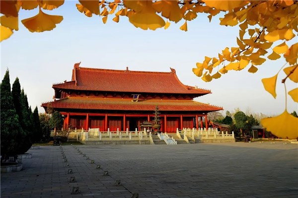 涡阳天静宫