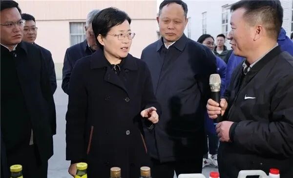 秦凤玉来我县调研生态环境问题整改和重点项目建设工作