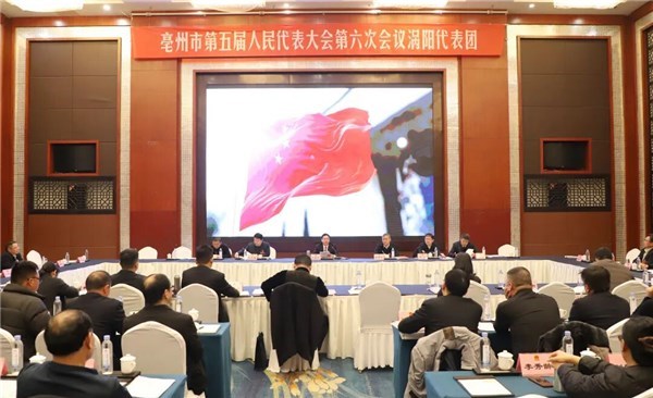 汪继宏参加涡阳代表团审议